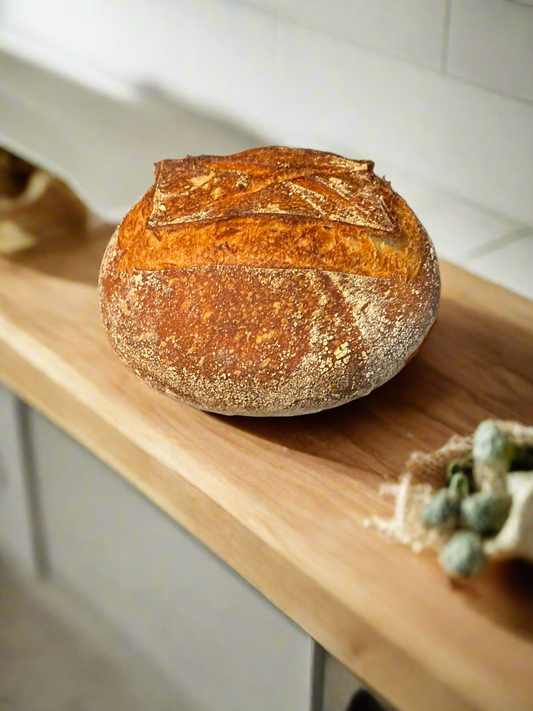 10” Sourdough Round Reg.