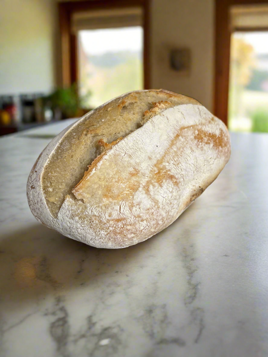 9” Sourdough Loaf Reg.